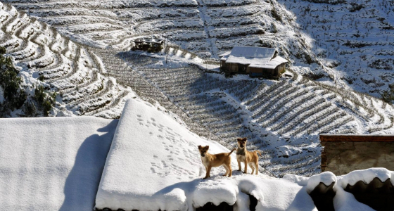 What Should You Prepare To Travel Sapa In Winter?