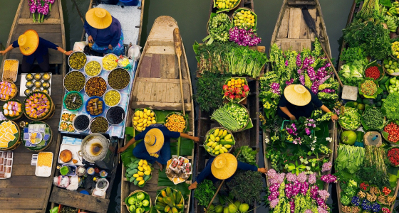 Top 10 Best Things to Do in Thailand 2024