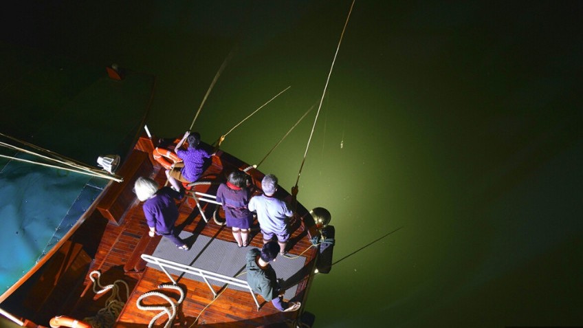 Phoenix Cruise: Trying Squid fishing at night