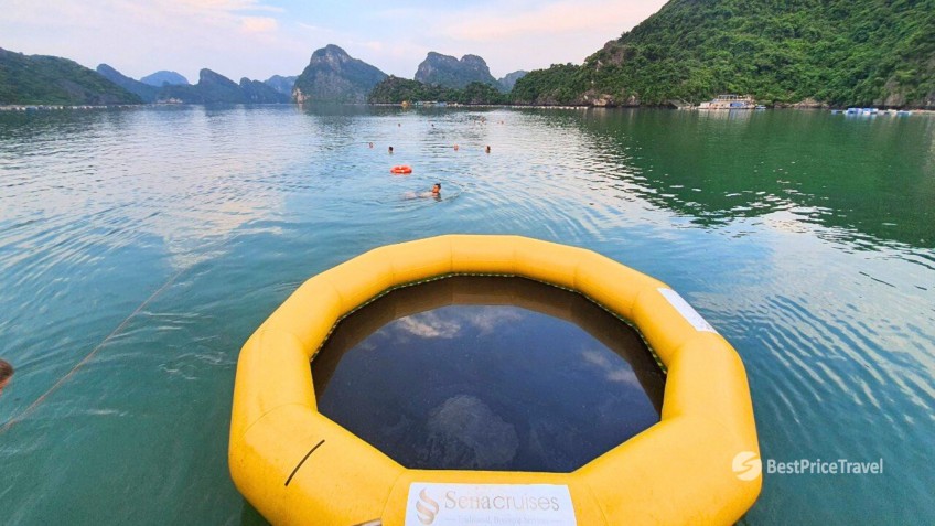 Sena Cruises: Swimming in the Emerald Water