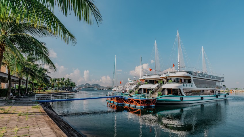 Amethyst Day Cruise: Embark on one day excursion with Amethyst