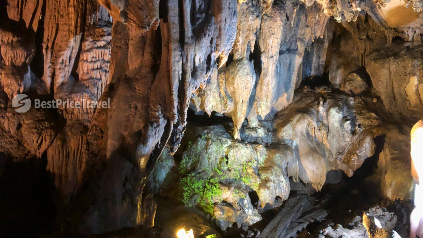 Orchid Classic Cruise: Majestic Stalactites in Trung Trang Cave