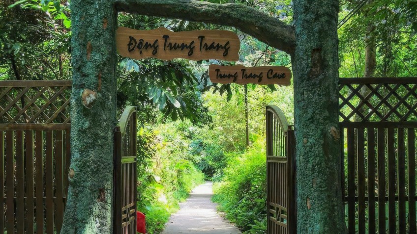 Capella Cruise: Entrance gate with lush trees