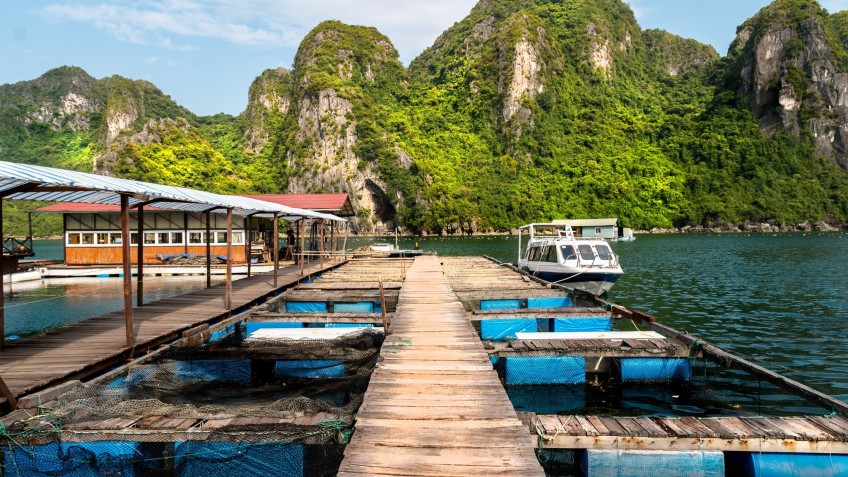 Mila Cruise (formerly Glory Legend): Tung Sau Pearl Farm