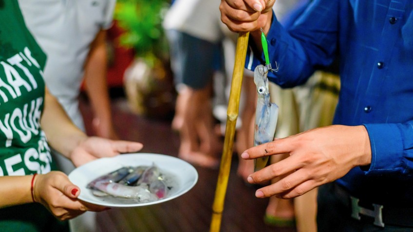 Nostalgia Cruise: Squid Fishing