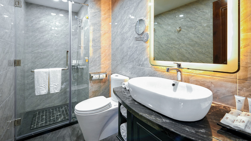 Paradise Grand Cruise: Modern Bathroom Fulfilment