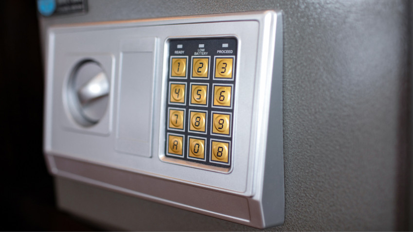 Peony Cruise: Premium Deluxe Safe Box