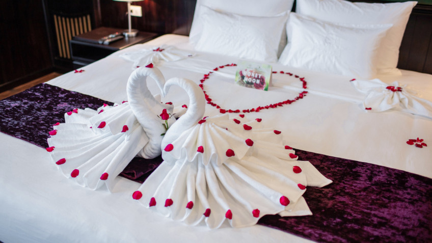 Peony Cruise: Romantic Vibe Decorations