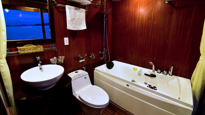 Renea Cruise: Fully amenities bathroom